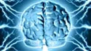 Με τι ασχολείται η νευροεπιστήμη;
