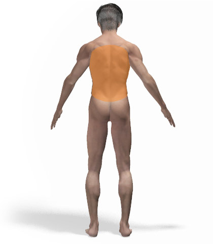 Άνδρας - Πλάτη