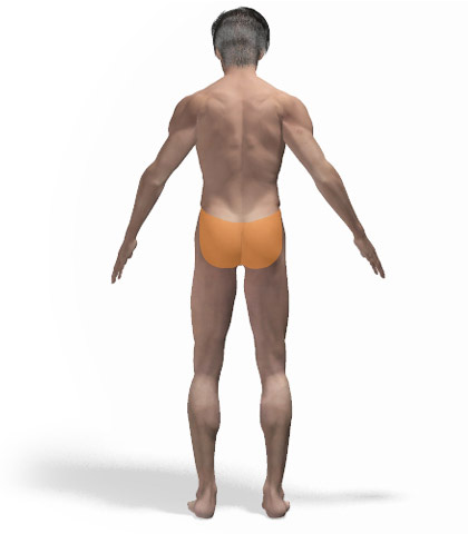 Άνδρας - Γλουτοί