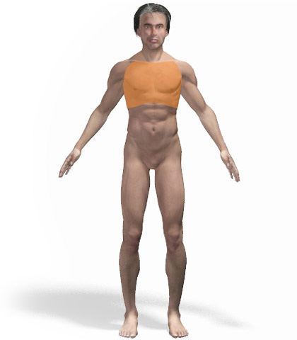 Άνδρας - Στήθος