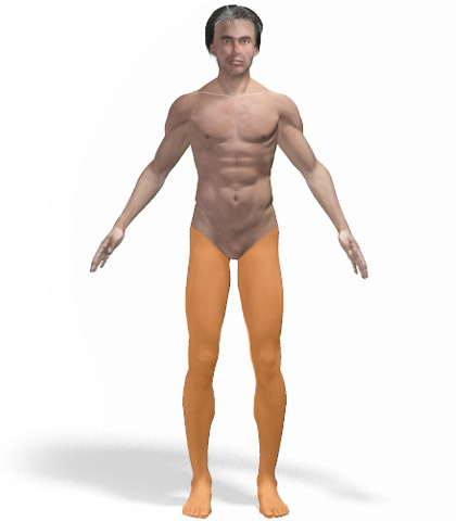 Άνδρας - Ισχίο, Πόδια, Πέλματα