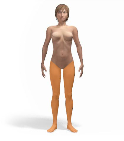 Γυναίκα - Ισχίο, Πόδια, Πέλματα